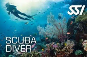 Presentation Scuba Diver