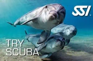 First time diving in Malta 2 Presentation Try Scuba